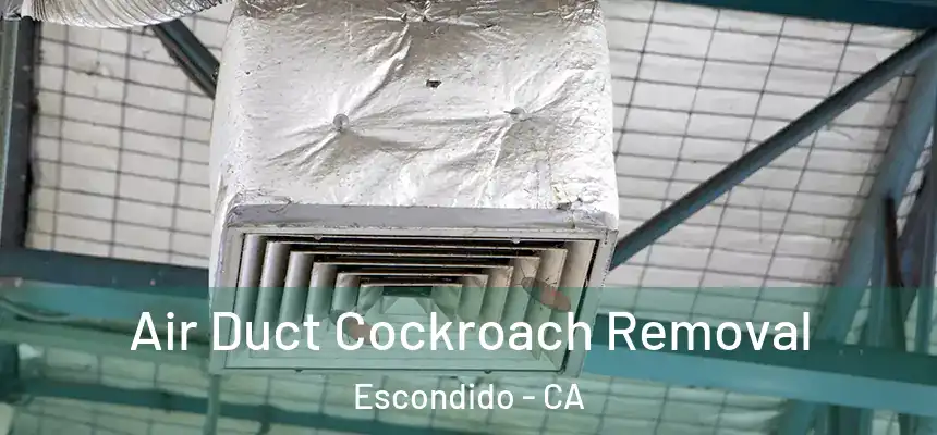  Air Duct Cockroach Removal Escondido - CA