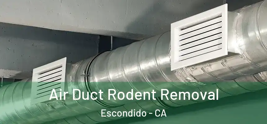  Air Duct Rodent Removal Escondido - CA
