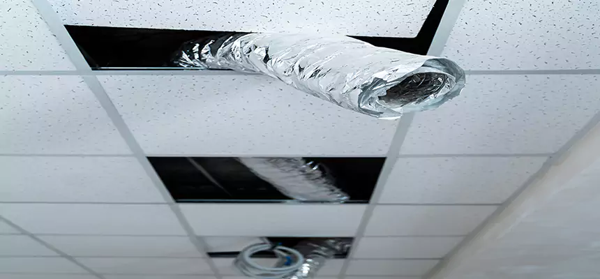 Affordable HVAC Sanitizing After Pest Removal in Escondido