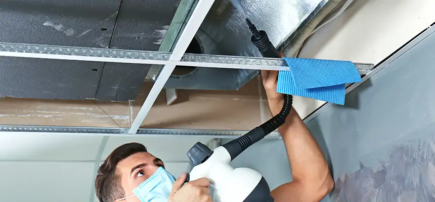 Our Air Duct Rodent Removal Services in Escondido, CA