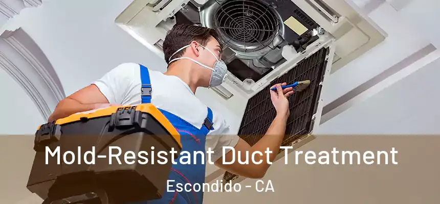  Mold-Resistant Duct Treatment Escondido - CA