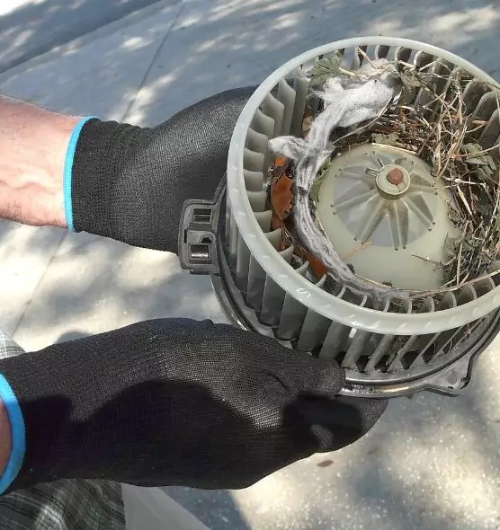 About Air Duct Mice Removal in Escondido, CA