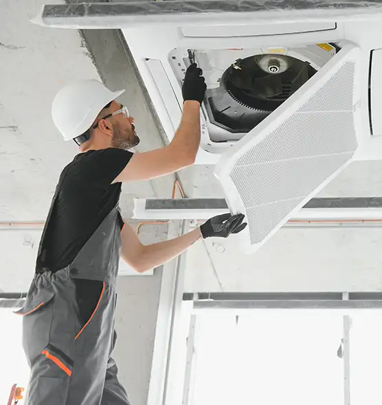 About Air Duct Rodent Removal in Escondido, CA