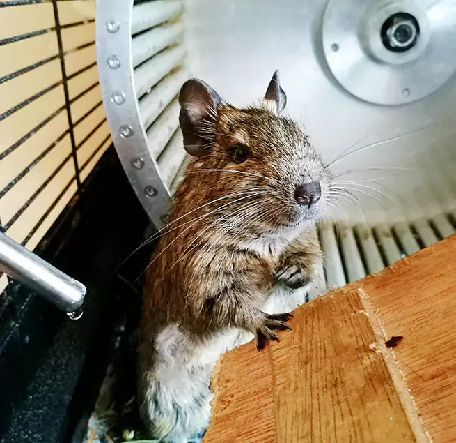 Why Homeowners & Businesses Trust Us Escondido, CA?