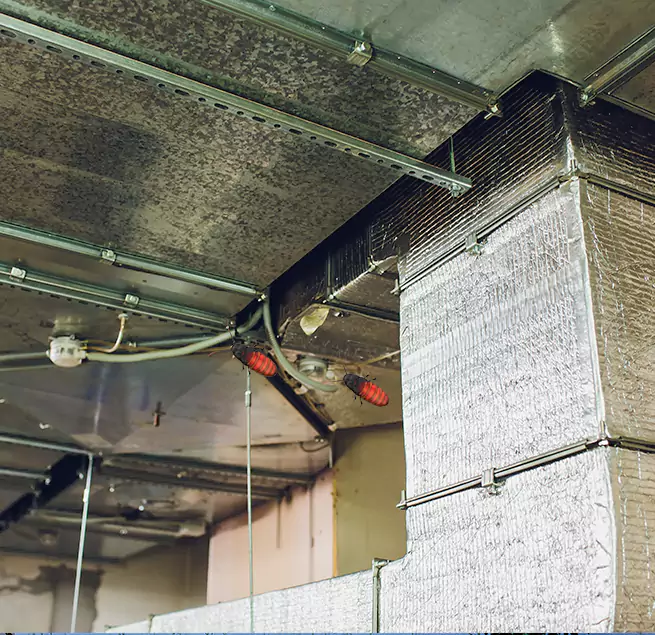 Why Homeowners & Businesses Trust Us Escondido, CA?